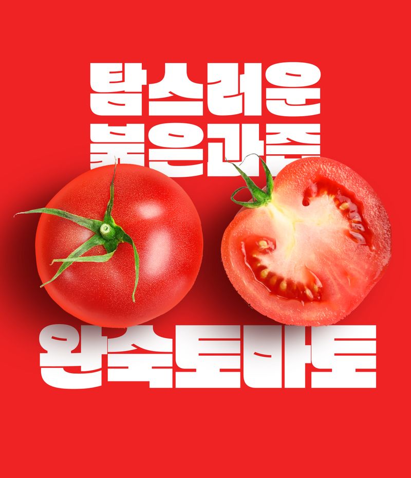 팜모닝 상점님의 장터 판매 상품 [🍅 못난이 완숙토마토(100~400g) 사이즈 혼합(랜덤) 3/5/10kg 🍅] 첨부 사진