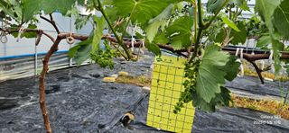 김상욱님의 자유주제 · 자유게시판 작성글 사진