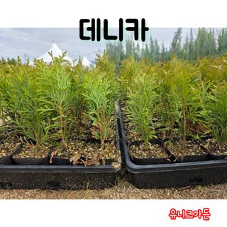 이선미님의 작성글 사진