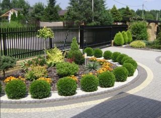 이선미님의 작성글 사진