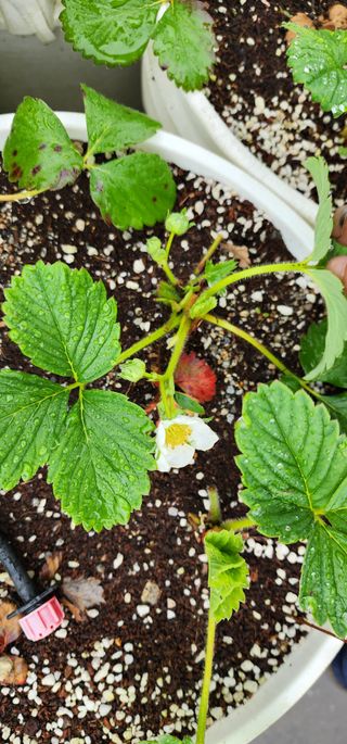 고동옥님의 자유주제 · 사진전 작성글 사진