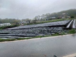 이정민님의 자유주제 · 사진전 작성글 사진