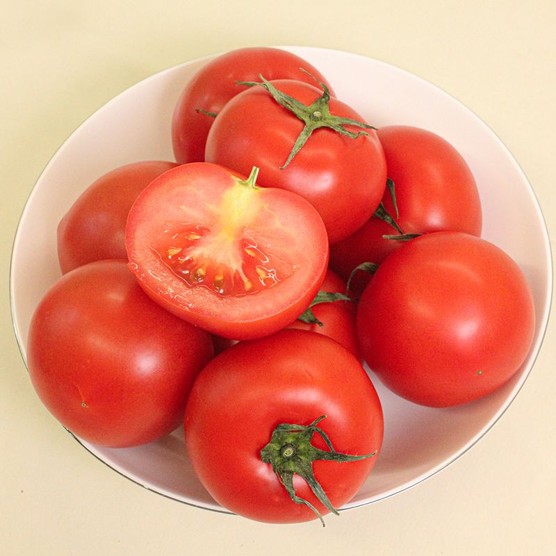 장터 상품 [🍅 못난이 완숙토마토(100~400g) 사이즈 혼합(랜덤) 3/5/10kg 🍅] 썸네일