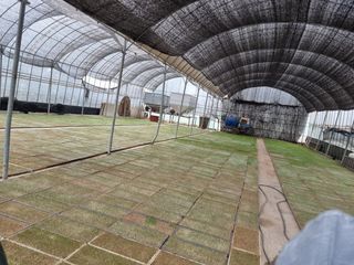 이규현님의 자유주제 · 자유게시판 작성글 사진