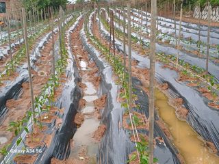 홍순오님의 자유주제 · 자유게시판 작성글 사진