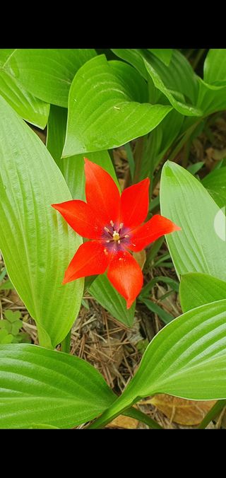 떫은감 마니아님의 자유주제 · 자유게시판 작성글 사진