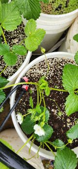 팜모닝 자유주제·사진전 게시글 이미지