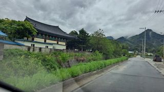 MSG0074님의 자유주제 · 자유게시판 작성글 사진