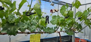 김상욱님의 자유주제 · 자유게시판 작성글 사진