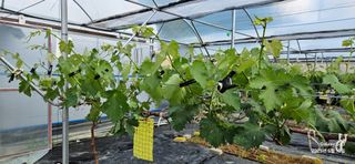 김상욱님의 자유주제 · 자유게시판 작성글 사진