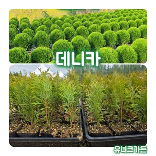 이선미님의 작성글 사진