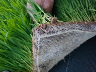 연화골 연님의 농사, 무엇이든 물어보세요! · 참여글 작성글 사진