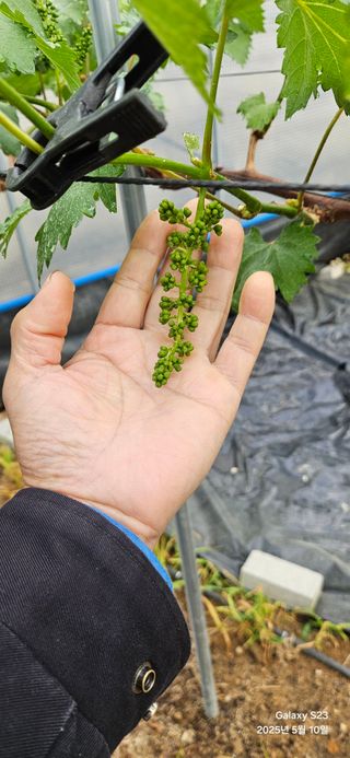 김상욱님의 자유주제 · 자유게시판 작성글 사진