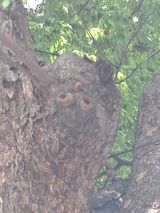 팜모닝 자유주제·자유게시판 게시글 이미지