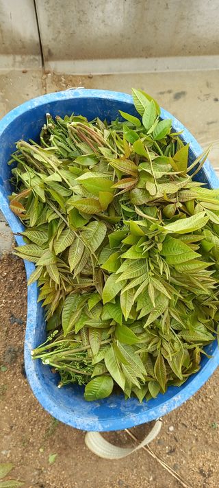 김대현(청솔)님의 자유주제 · 자유게시판 작성글 사진