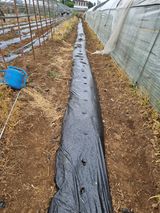 팜모닝 자유주제·자유게시판 게시글 이미지