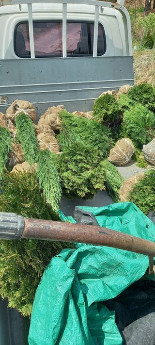 김대현(청솔)님의 자유주제 · 자유게시판 작성글 사진