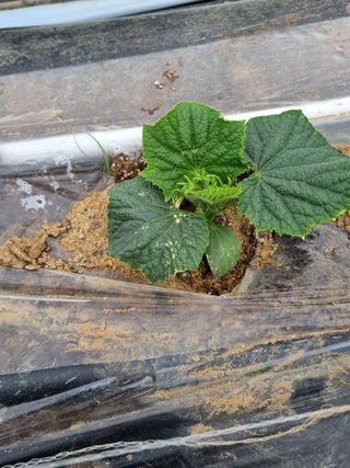 장례지도사1급님의 자유주제 · 자유게시판 작성글 사진