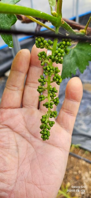 김상욱님의 자유주제 · 자유게시판 작성글 사진