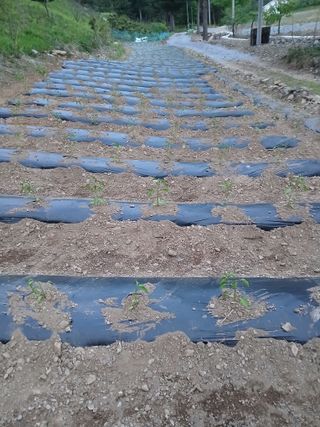 인생은 소풍처럼님의 자유주제 · 자유게시판 작성글 사진