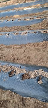 팜모닝 자유주제·자유게시판 게시글 이미지