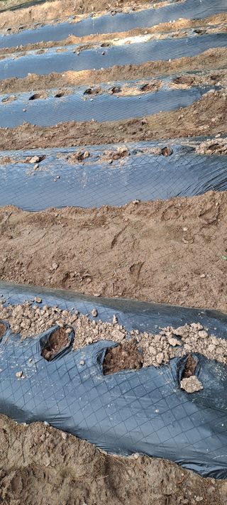 김영만님의 자유주제 · 자유게시판 작성글 사진