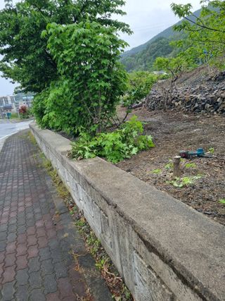 김용대님의 자유주제 · 자유게시판 작성글 사진