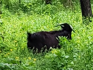 이천산수유3대농부님의 자유주제 · 자유게시판 작성글 사진