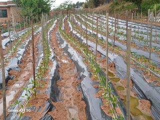 홍순오님의 자유주제 · 자유게시판 작성글 사진