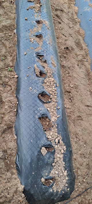 김영만님의 자유주제 · 자유게시판 작성글 사진