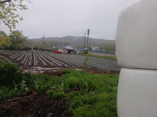 이정민님의 자유주제 · 사진전 작성글 사진