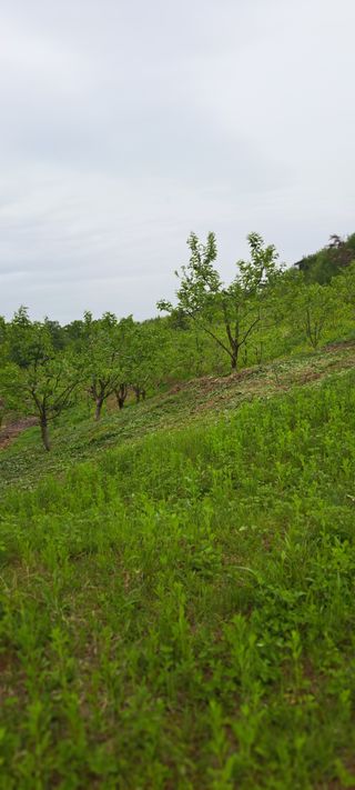 백동감님의 자유주제 · 건의해요 작성글 사진