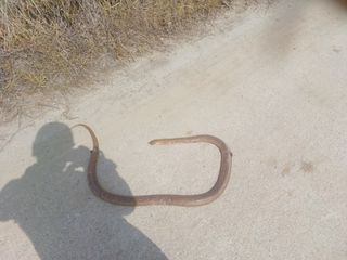 이정민님의 자유주제 · 사진전 작성글 사진