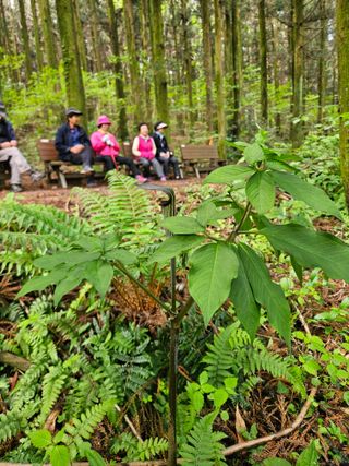 제주 지안이네농장님의 자유주제 · 자유게시판 작성글 사진