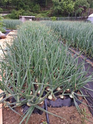 문영식님의 자유주제 · 자유게시판 작성글 사진