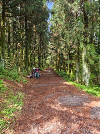 제주 지안이네농장님의 자유주제 · 자유게시판 작성글 사진