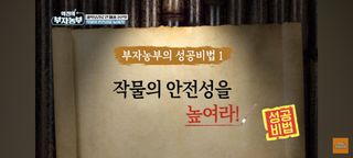 감15576님의 자유주제 · 자유게시판 작성글 사진