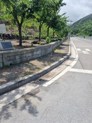 김용대님의 자유주제 · 자유게시판 작성글 사진