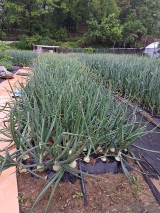 문영식님의 자유주제 · 자유게시판 작성글 사진