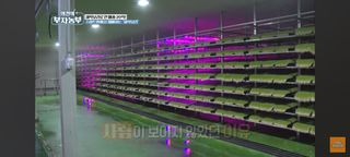 감15576님의 자유주제 · 자유게시판 작성글 사진