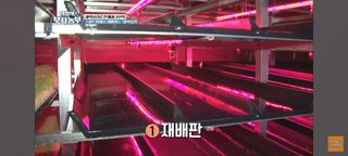 감15576님의 자유주제 · 자유게시판 작성글 사진