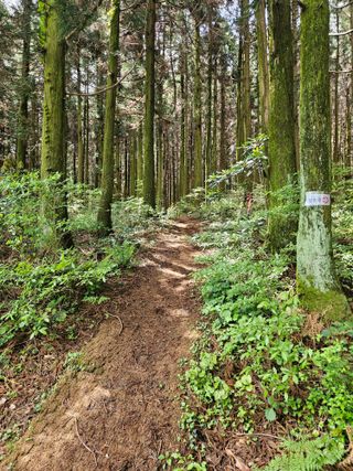 제주 지안이네농장님의 자유주제 · 자유게시판 작성글 사진