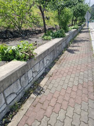 김용대님의 자유주제 · 자유게시판 작성글 사진