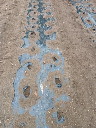 전국하님의 자유주제 · 자유게시판 작성글 사진