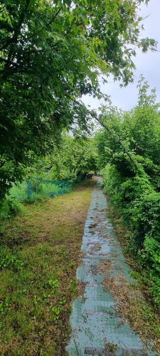 달방구님의 자유주제 · 자유게시판 작성글 사진