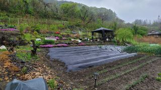 남정희 님의 자유주제 · 자유게시판 작성글 사진