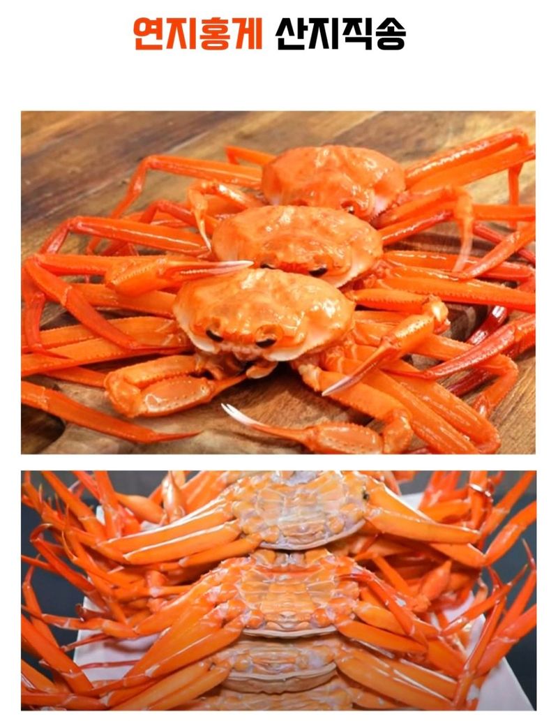 농수사님의 장터 판매 상품 [짜지않은 구룡포 연지홍게 A급 3kg] 첨부 사진