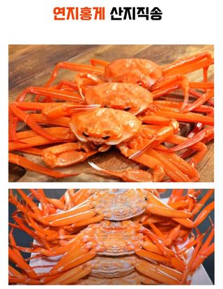 농수사님의 작성글 사진