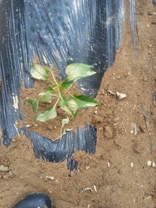 마늘님의 자유주제 · 자유게시판 작성글 사진