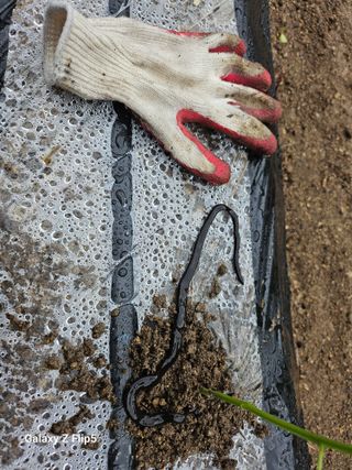 영숙님의 자유주제 · 자유게시판 작성글 사진